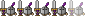 Demi dieu