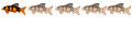 Débutant