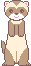Nombre de furet Nombre de furet
