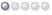 <i>New in the Camp</i>
