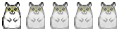 Lapin nain