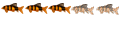 Habitué