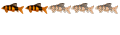 Spécialiste