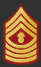 Sergent V