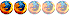 Petit bavard