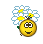 : maa :