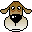 dog6