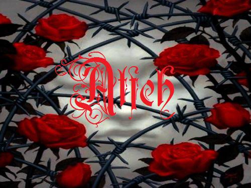 A Thorn For Every Heart Index du Forum