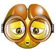 mouche