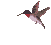 Discrète
