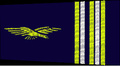 Lieutenant Colonel
