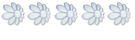 FeNomN Test