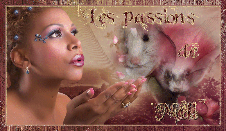 Forum les passions de Meli! Index du Forum