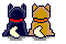 kat5