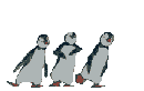 PINGOUIN DANSE