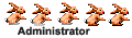 Administrateur