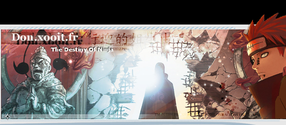 The Destiny Of Ninja Index du Forum