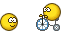 Velo