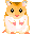 hamster 5