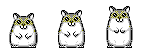level 9 : plus rapide que 3 hamsters
