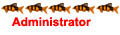 Administrateur