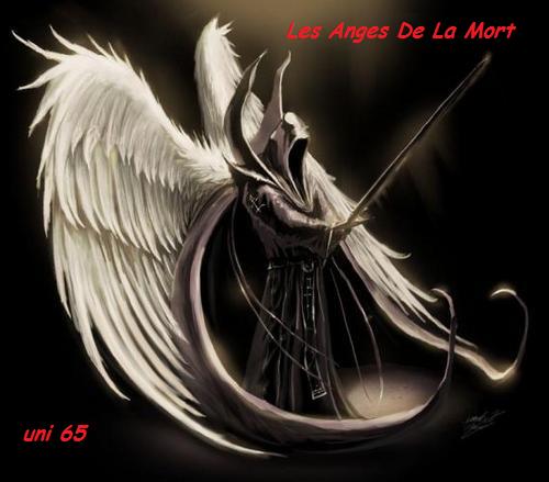 Les Anges de La Mort Index du Forum