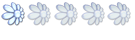 FeNomN