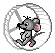 "rat"