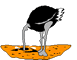 zerebart2
