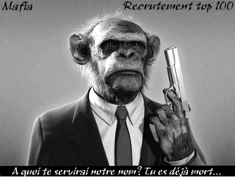MaFiA iS BaCk Index du Forum