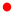 Japon Japon