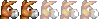 Membre