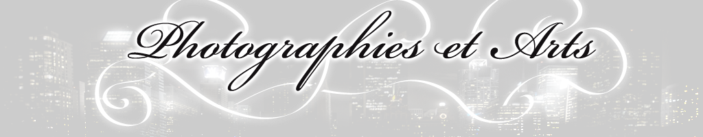 Photographies et Arts Index du Forum