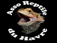 Association Reptile du Havre Index du Forum