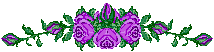 ::fleurmauve!!