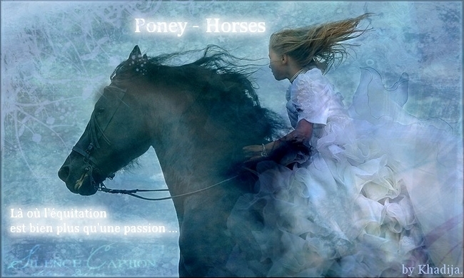 Poneys - Horses Index du Forum