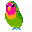 bird