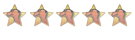 Membre