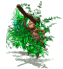 plante2