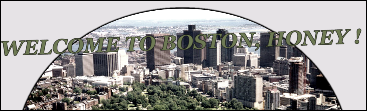 ♥ Boston ♥ Index du Forum