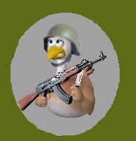 Poule de guerre Index du Forum