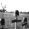 vétérans