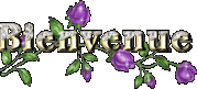 Bienvenue