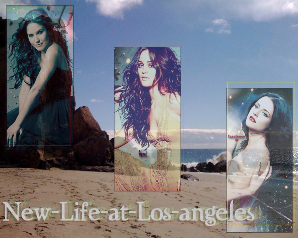 New-Life-at-Los-angeles Index du Forum