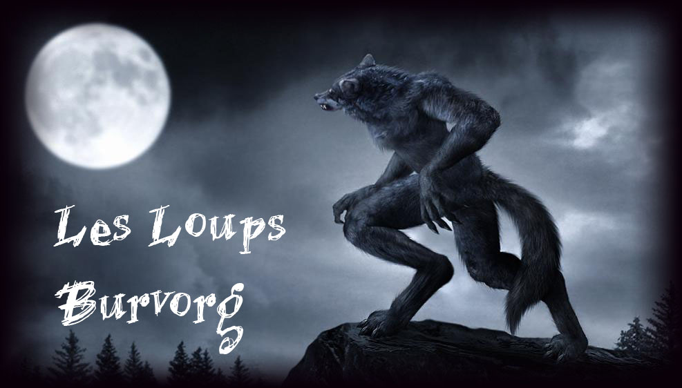 Les Loups Burvorg de Saihan Index du Forum