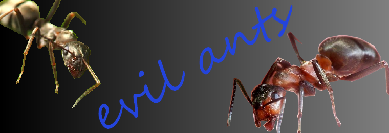 evil ants Index du Forum