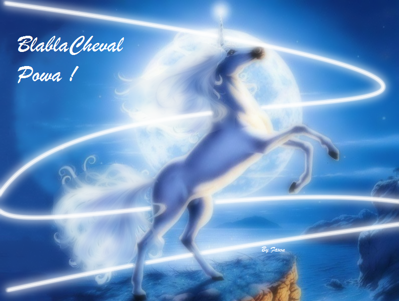 blablacheval Index du Forum