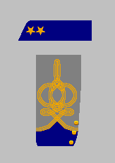 Lieutenant-colonel C.S. Navy