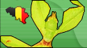 PHASMANTES BELGIUM Forum Index