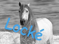 Ce forum est verrouillé; vous ne pouvez pas poster, ni répondre, ni éditer les sujets. Ce forum est verrouillé; vous ne pouvez pas poster, ni répondre, ni éditer les sujets.